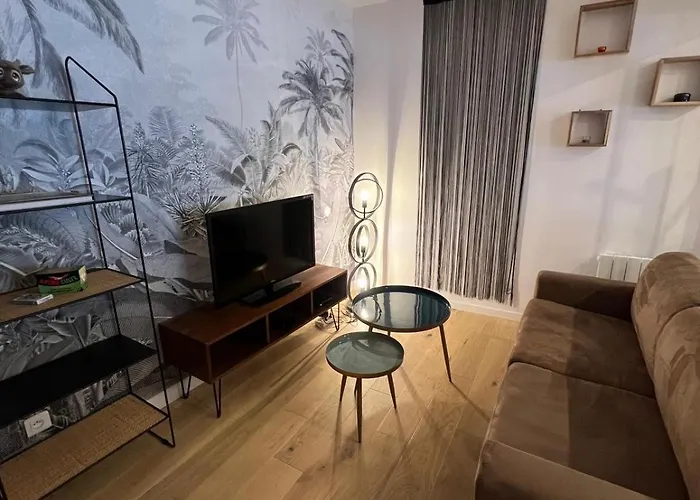 Apartment Le 49 Carnot Plein Coeur De Poitiers